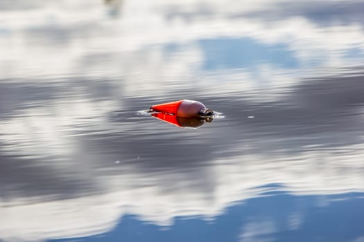 a fishing bobber in the water