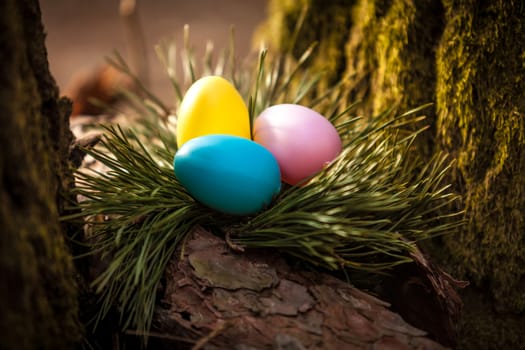 Photo of colored easter eggs in nest on tree