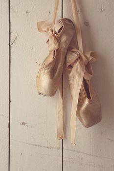 Romantic Posed Pointe Shoes in Natural Light 