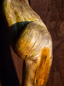 Twisted piece of wood as a door handle