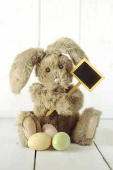 Adorable Easter Bunny Themed Holiday Occasion Image