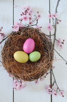 Spring Easter Holiday Themed Still Life Scene in Natural Light