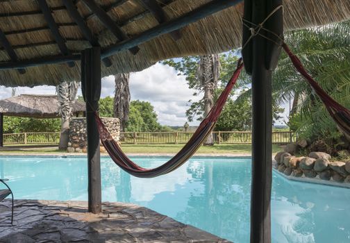 tropical swimming pool with hammock  in lodge south africa