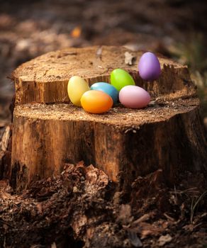 Colorful easter eggs lying on wooden stump