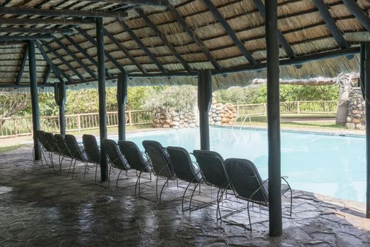 tropical swimming pool with straw roof and seats  in lodge south africa