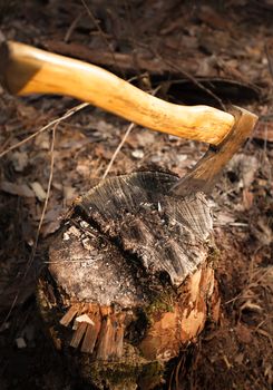Photo of iron axe stuck in wood log