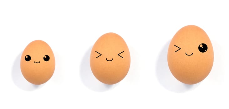 close up of egg on white background