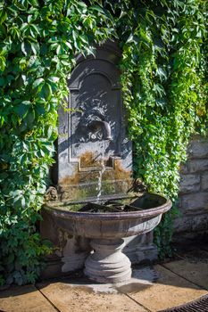 Drinking fountain wall covered by plants