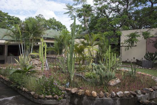 patio garden inside lodge sout africa