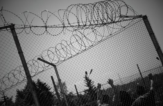 steel wired fence of a prison b&w image