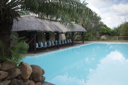 tropical swimming pool with palm trees in lodge south africa