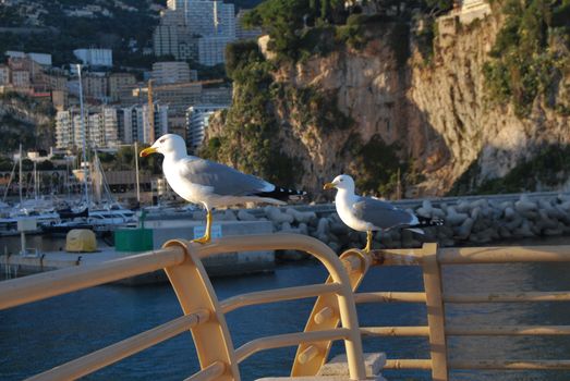 Montecarlo Costa Azzurra