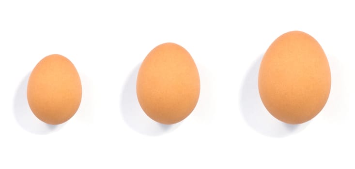 close up of egg on white background