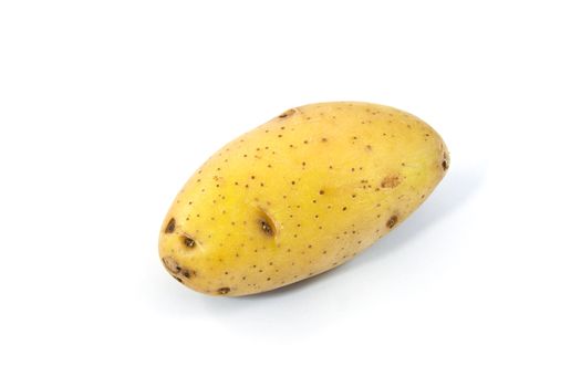 potato isolated on white background close up
