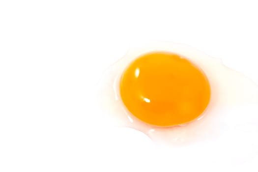 yolk isolate