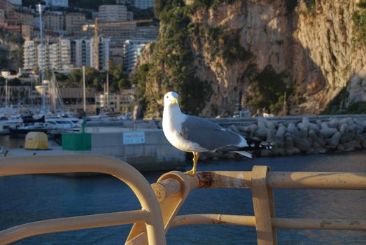 Montecarlo, Costa Azzurra