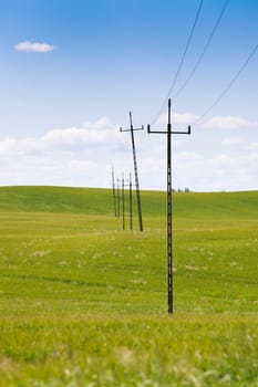 Old power line and telephone poll, standing in row in green spring field, visible sky.