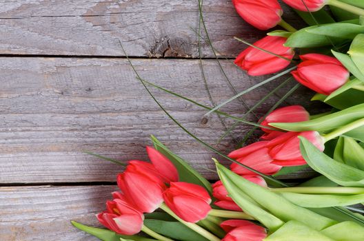 Corner Frame of Beautiful Spring Red Tulips with Green Grass isolated on Rustic Wooden background. Top View