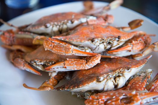 Close-up steamed blue crabs