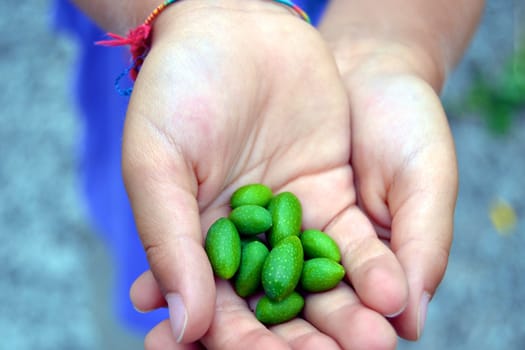 Child proudly showing his first harvest