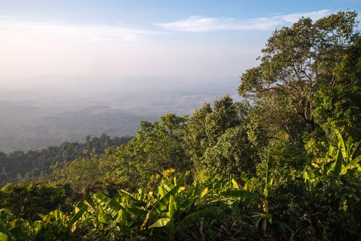 Landscape of mountain view at Phuthapboek Khoo kho , Phetchabun Thailand