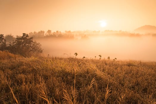 Landscape of mountain view at Phuthapboek Khoo kho , Phetchabun Thailand