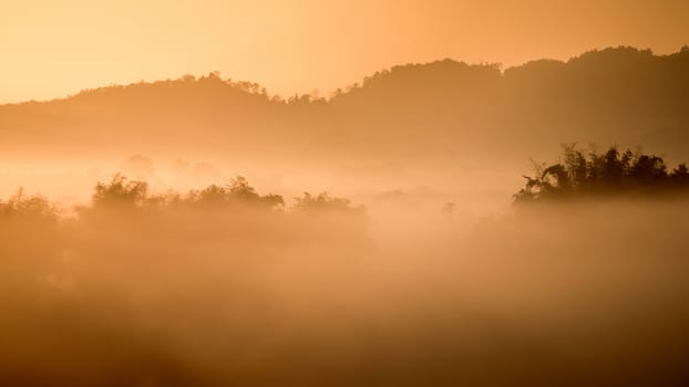 Landscape of mountain view at Phuthapboek Khoo kho , Phetchabun Thailand