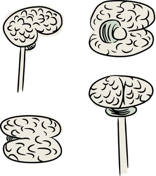 Doodle of human brain in four different views