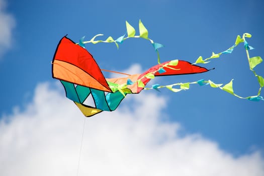 Kite with multiple colours on a blurred sky