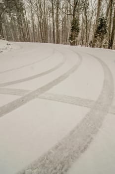 snow covered road and trees