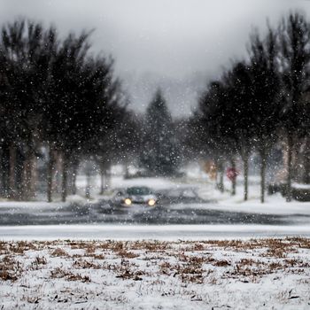 snow covered road and trees