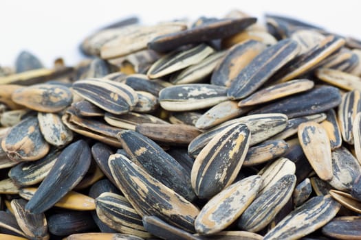 Sunflower seeds