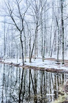 tree line reflections in lake during winter snow storm