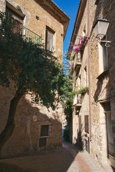 A tipical alley in Acciaroli, Cilento, Southern Italy