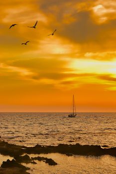 View of a sailboat leaving at dusk with some seagulls in foreground in Acciaroli, Cilento, Southern Italy