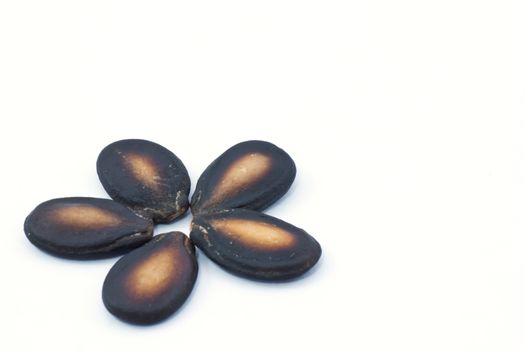 watermelon seed
