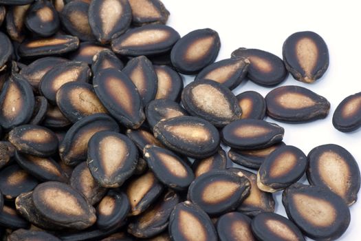 watermelon seed