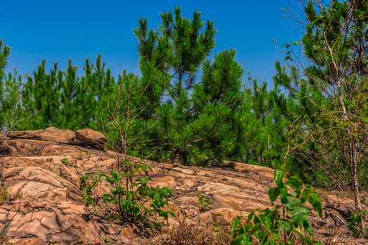 The view from the top of a rocky mountain with some green trees on a sunny day in the nature of Ontario, Canada.