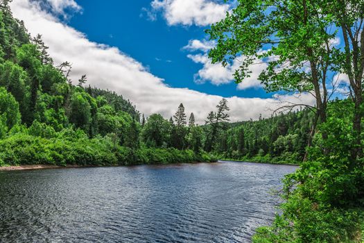 An amazing landcape of the nature containing a lake and a beautiful blue sky. The wild nature of Ontario, Canada.