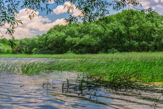 An amazing landcape of the nature containing a lake and a beautiful blue sky. The wild nature of Ontario, Canada.