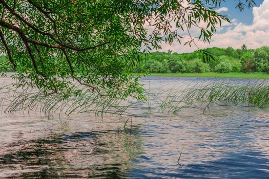 An amazing landcape of the nature containing a lake and a beautiful blue sky. The wild nature of Ontario, Canada.