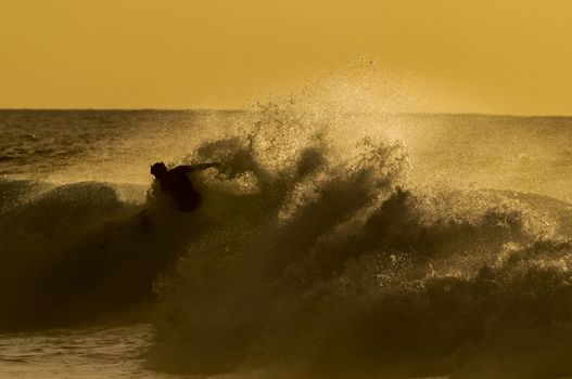 Backlight Silhouette Surfer in the Ocean at Sunset