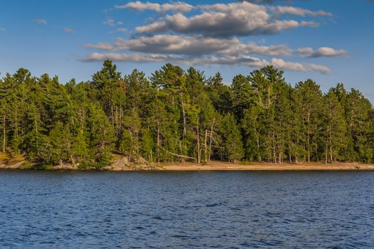 An amazing landcape of the nature containing a lake and a beautiful blue sky. The wild nature of Ontario, Canada.