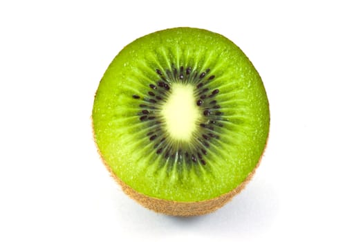 Kiwi on white