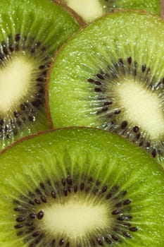 Kiwi on white