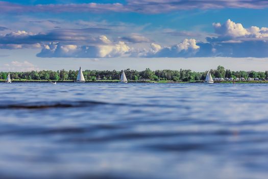 Many sailing ships in a lake in a sunny day, Ontario, Canada.