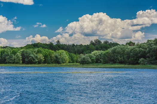 An amazing landcape of the nature containing a lake and a beautiful blue sky. The wild nature of Ontario, Canada.