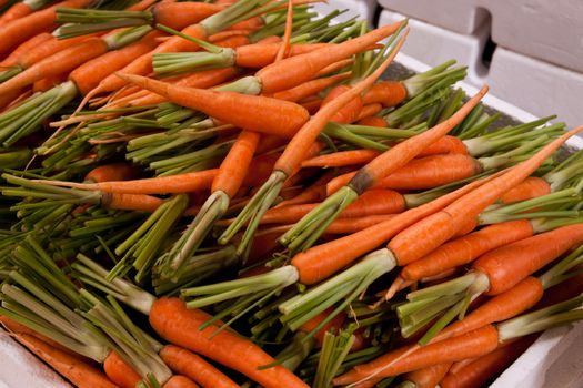 Fresh carrots on a market stall