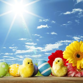 Colourful traditional Easter eggs arranged with colourful Gerbera daisies and toy chicks