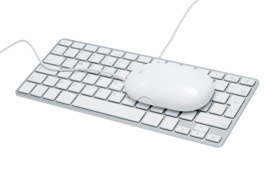 The modern keyboard and the mouse for a computer